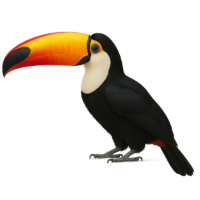 TUCANO.png