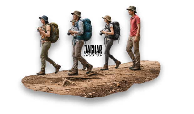 TRILHAS.png